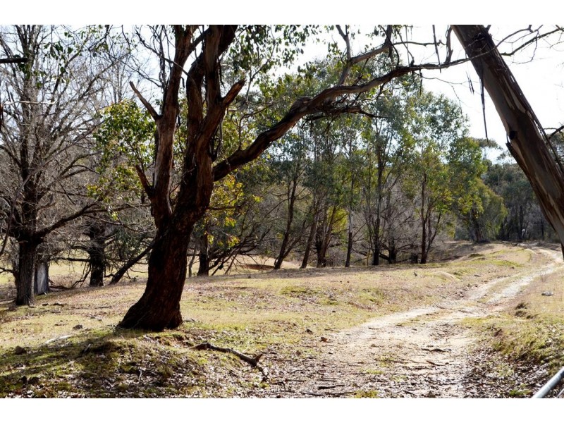 1345 Argalong Road, Tumut NSW 2720