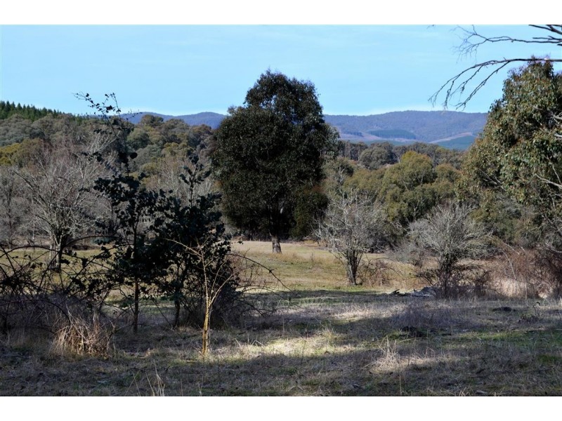 1345 Argalong Road, Tumut NSW 2720