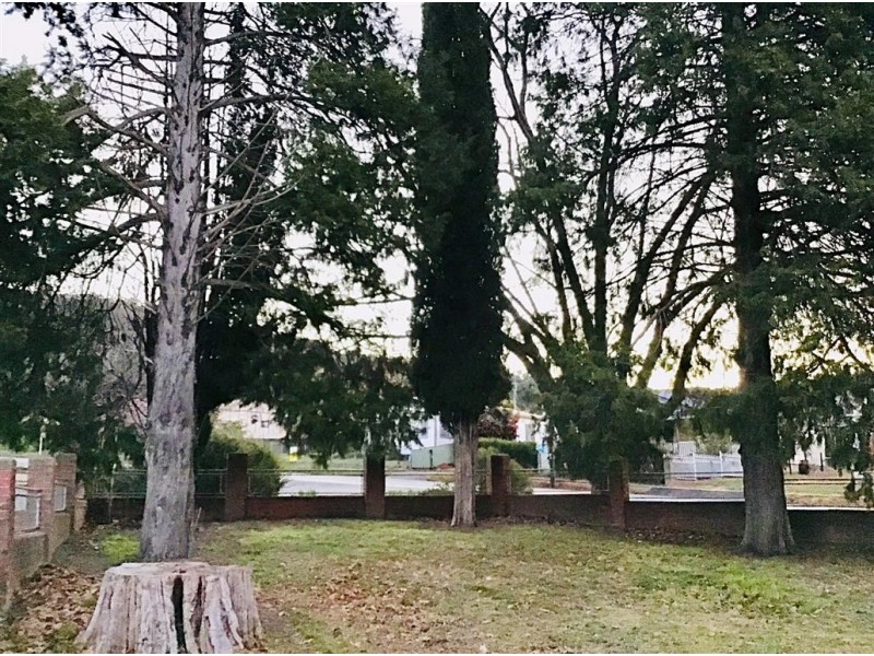 16 Selwyn Street, Batlow NSW 2730