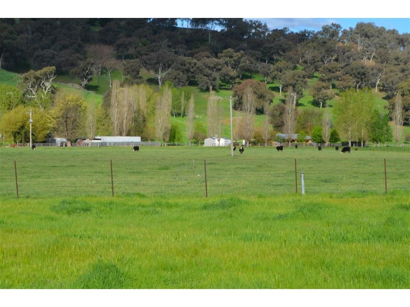 164 Bombowlee Avenue, Tumut NSW 2720