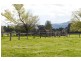 164 Bombowlee Avenue, Tumut NSW 2720