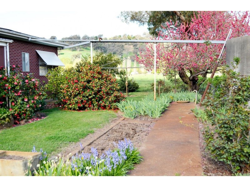 164 Bombowlee Avenue, Tumut NSW 2720