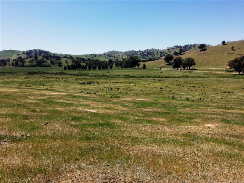 Lot 5 Readfords Road, Gundagai NSW 2722