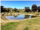 Lot 5 Readfords Road, Gundagai NSW 2722