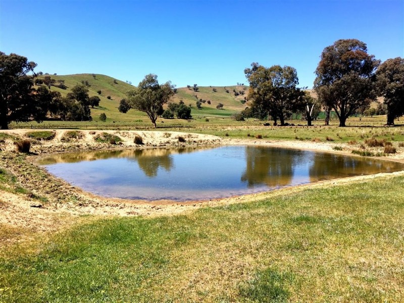 Lot 5 Readfords Road, Gundagai NSW 2722