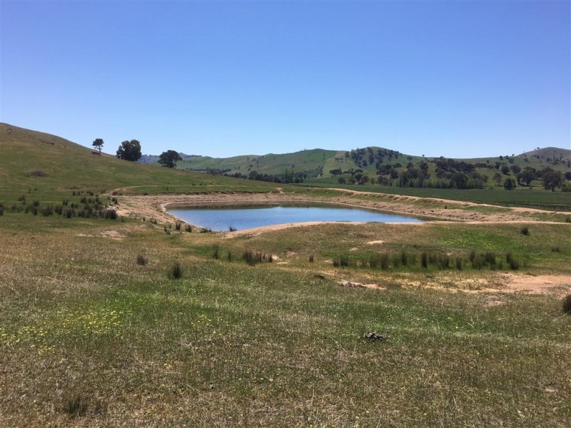 Lot 5 Readfords Road, Gundagai NSW 2722
