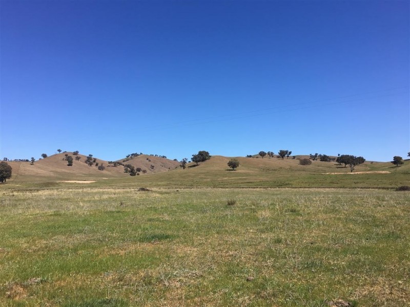 Lot 5 Readfords Road, Gundagai NSW 2722