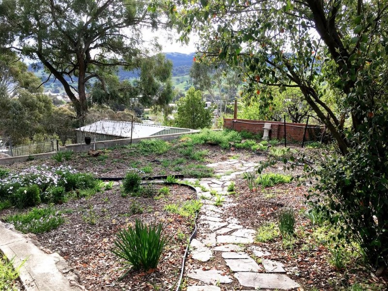 39 Dalhunty Street, Tumut NSW 2720