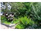 15 Nellis Street, Batlow NSW 2730