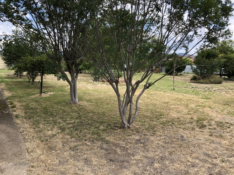 120 Broughton, Tumut NSW 2720