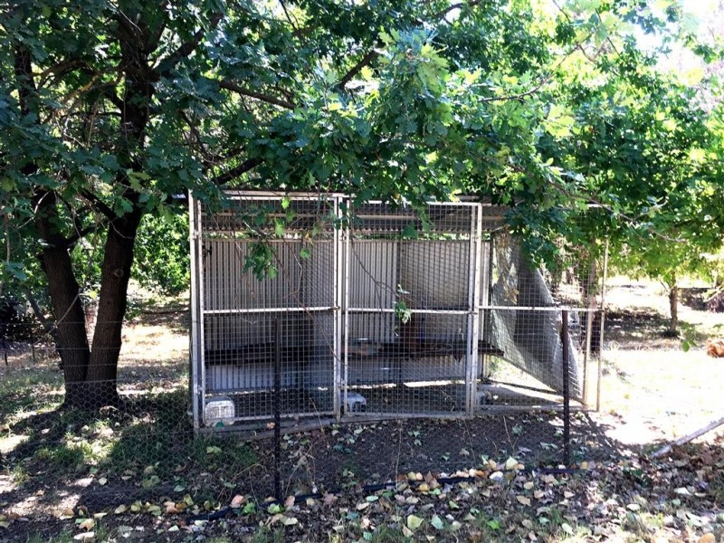 22 Quartz Street, Adelong NSW 2729