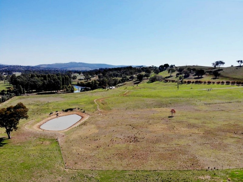 392 Lacmalac Road, Tumut NSW 2720