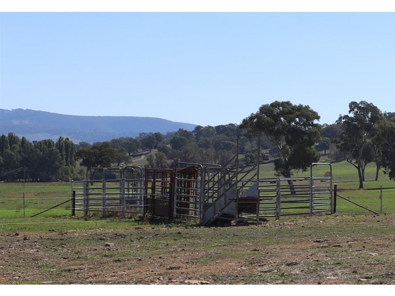 392 Lacmalac Road, Tumut NSW 2720