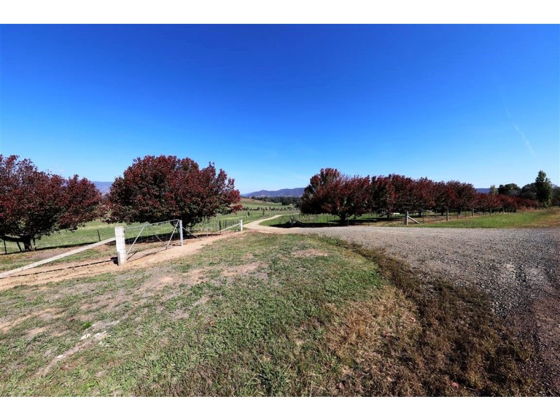 392 Lacmalac Road, Tumut NSW 2720
