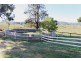 “Creekview” 1059 Grahamstown Road, Adelong NSW 2729