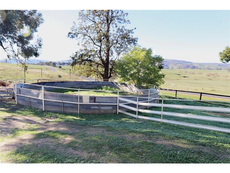 “Creekview” 1059 Grahamstown Road, Adelong NSW 2729