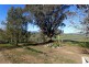 “Creekview” 1059 Grahamstown Road, Adelong NSW 2729
