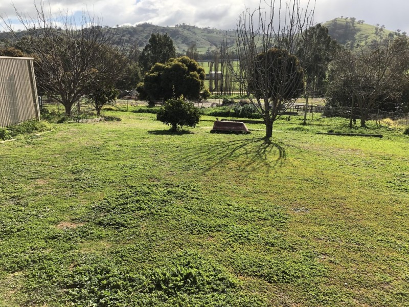 35 Mount Street, Gundagai NSW 2722