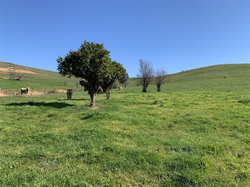 Lot 1, 10, 319 Charlotte Street, Gundagai NSW 2722