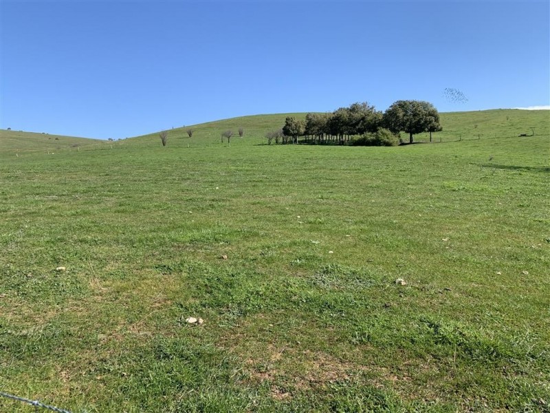 Lot 1, 10, 319 Charlotte Street, Gundagai NSW 2722