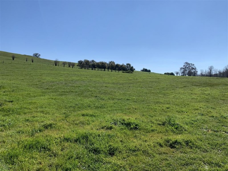 Lot 1, 10, 319 Charlotte Street, Gundagai NSW 2722