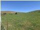 Lot 1, 10, 319 Charlotte Street, Gundagai NSW 2722