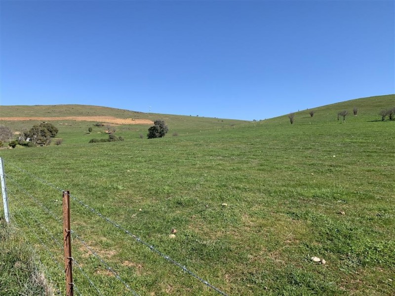 Lot 1, 10, 319 Charlotte Street, Gundagai NSW 2722