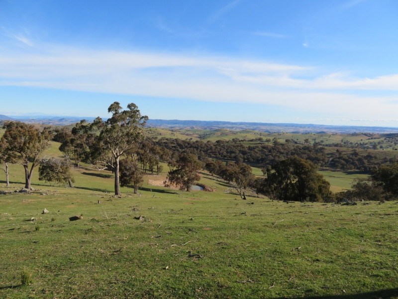 404 Reno Road, Gundagai NSW 2722