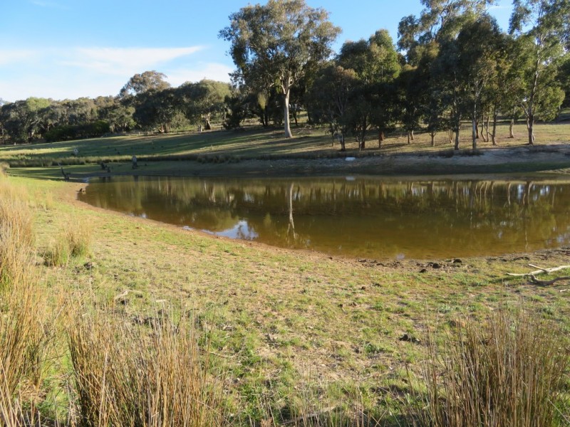 404 Reno Road, Gundagai NSW 2722