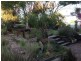 51 Punch Street, Gundagai NSW 2722