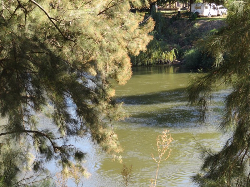 22 Tumut Street, Gundagai NSW 2722