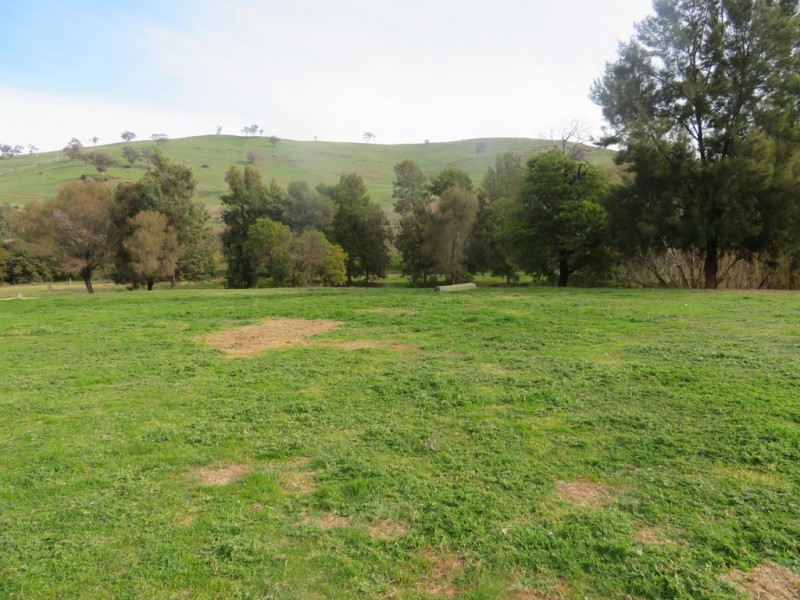 166 Punch Street, Gundagai NSW 2722