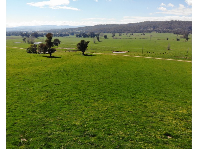 1/66 Whatmans Lane, Tumut NSW 2720