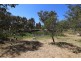 372 Morgans Res Road, Tumut NSW 2720