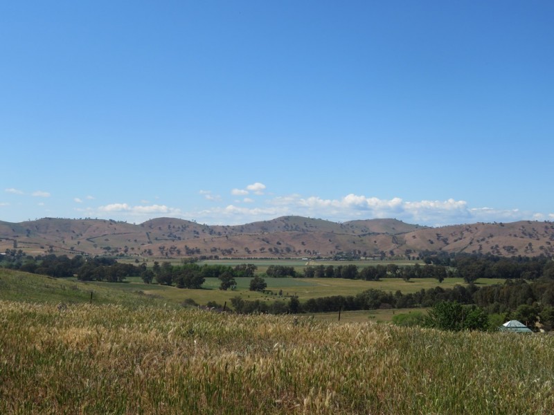 18 Neil McInerney Street, Gundagai NSW 2722
