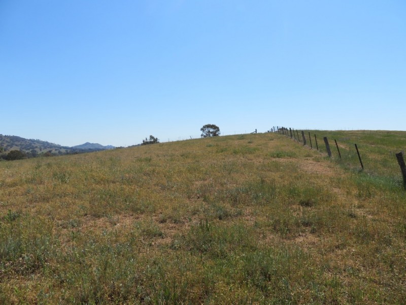 18 Neil McInerney Street, Gundagai NSW 2722
