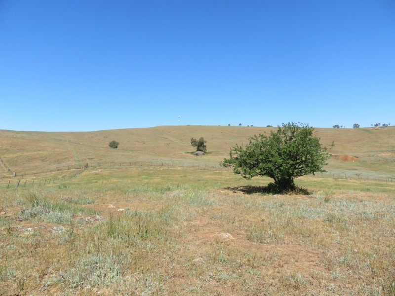 18 Neil McInerney Street, Gundagai NSW 2722