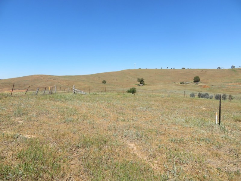 18 Neil McInerney Street, Gundagai NSW 2722