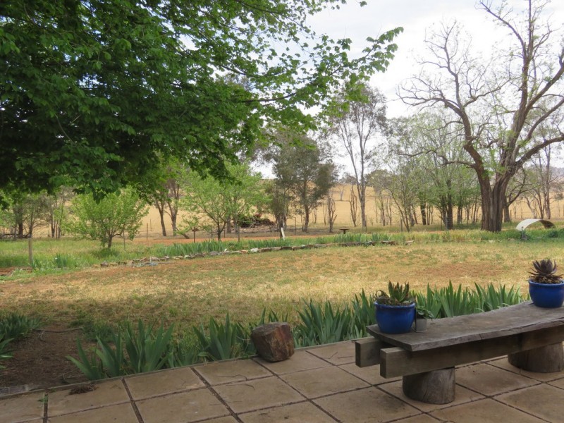 1586 Muttama Road, Muttama NSW 2722