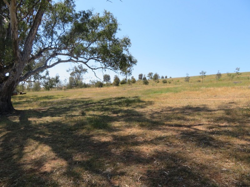 Lot 22 Neil McInerney Street, Gundagai NSW 2722