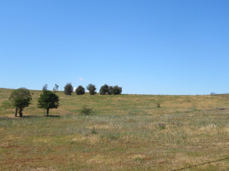 Lot 22 Neil McInerney Street, Gundagai NSW 2722