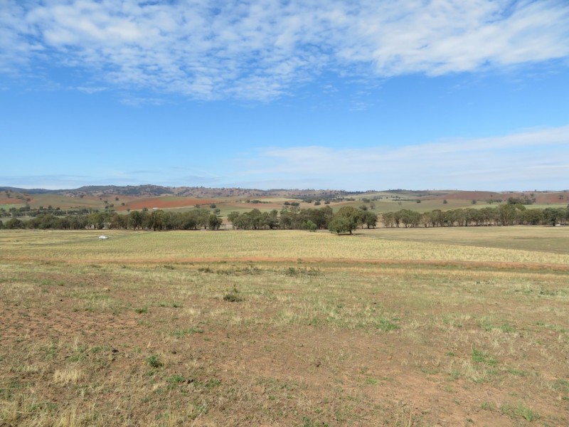 Lot 4 Old Hume Highway (Mundarlo Rd), Tumblong NSW 2729