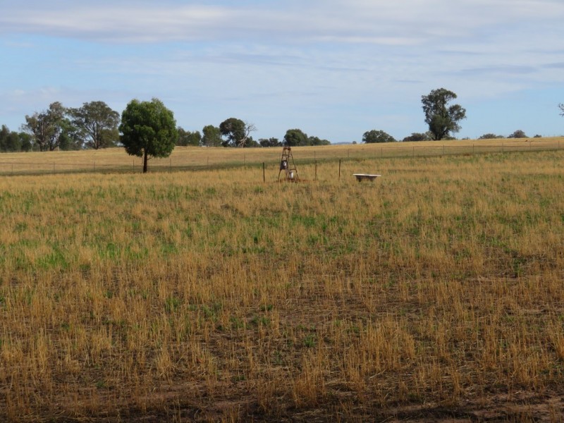 Lot 4 Old Hume Highway (Mundarlo Rd), Tumblong NSW 2729