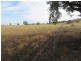 Lot 4 Old Hume Highway (Mundarlo Rd), Tumblong NSW 2729
