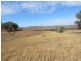 Lot 4 Old Hume Highway (Mundarlo Rd), Tumblong NSW 2729