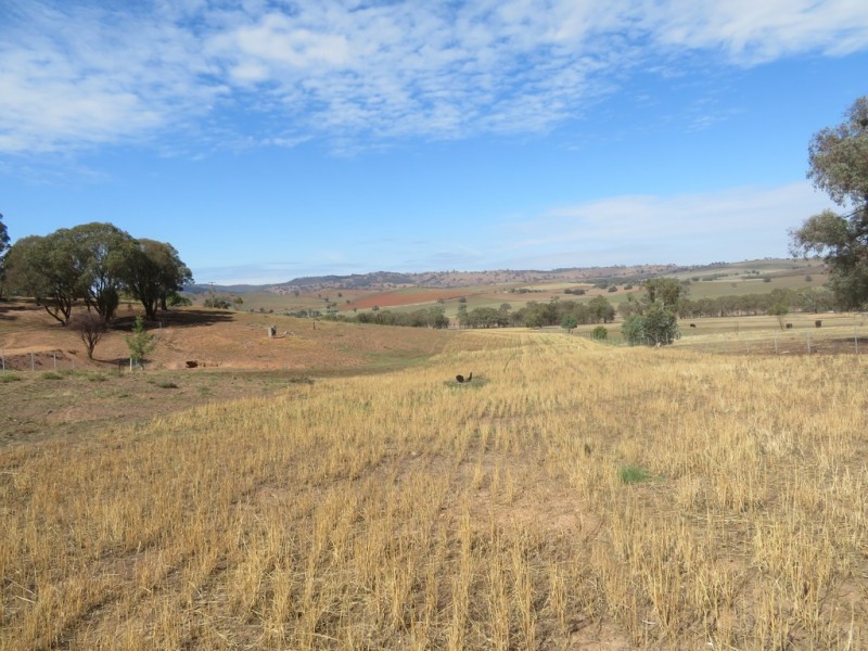 Lot 4 Old Hume Highway (Mundarlo Rd), Tumblong NSW 2729