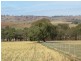 Lot 4 Old Hume Highway (Mundarlo Rd), Tumblong NSW 2729