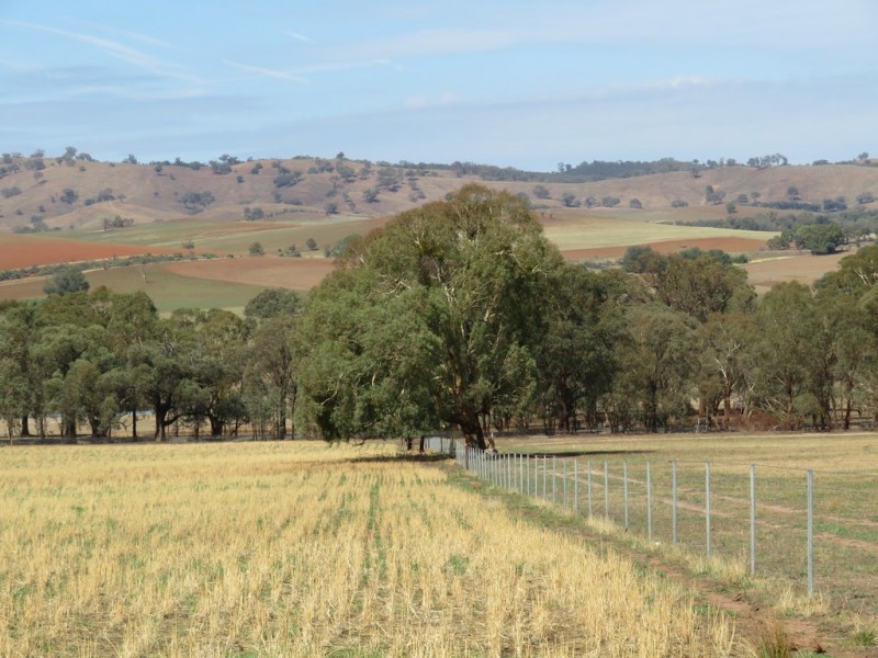 Lot 4 Old Hume Highway (Mundarlo Rd), Tumblong NSW 2729
