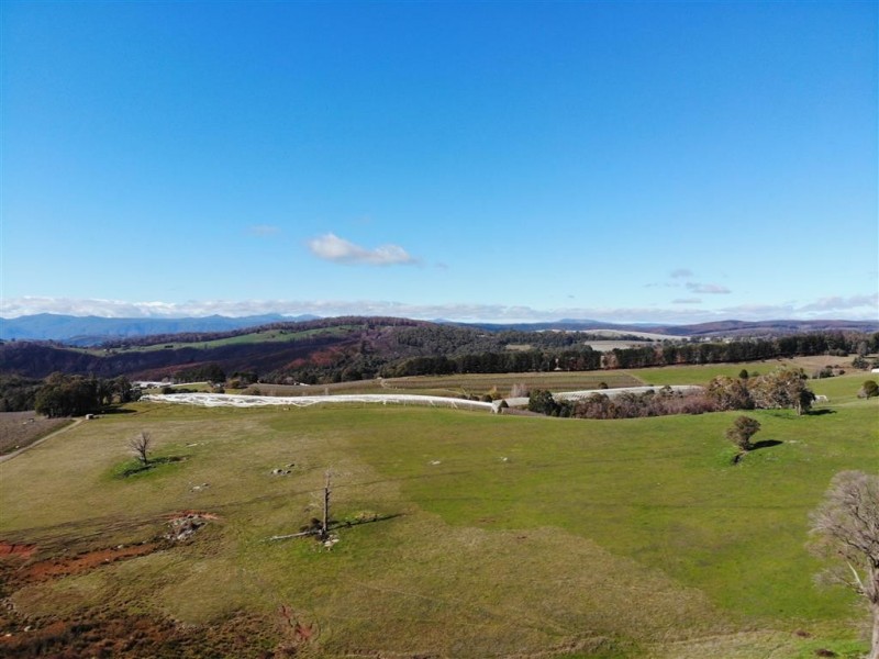 106 Old Tumbarumba Road, Batlow NSW 2730