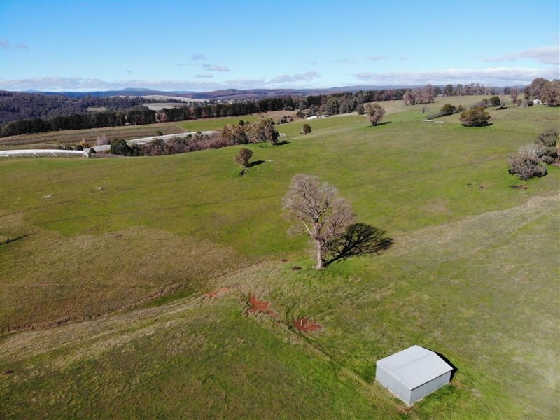 106 Old Tumbarumba Road, Batlow NSW 2730